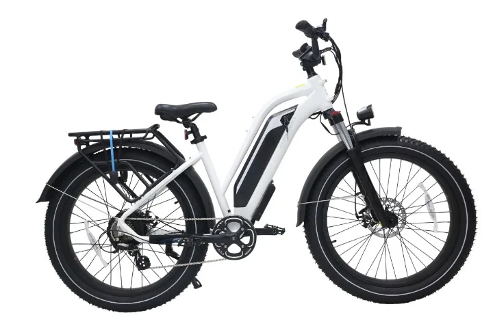 EB206S shown from the side