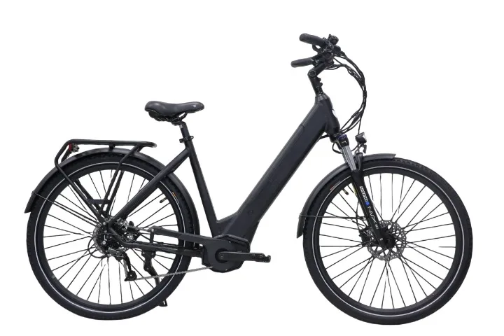 EB299S dual-battery fat-tire utility electric bike