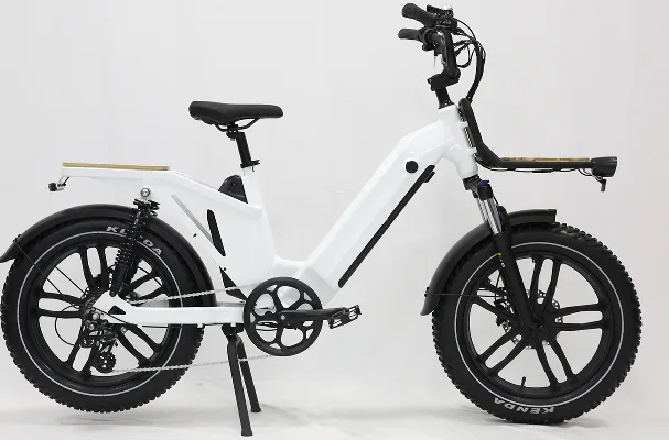 EB299S dual-battery fat-tire utility electric bike