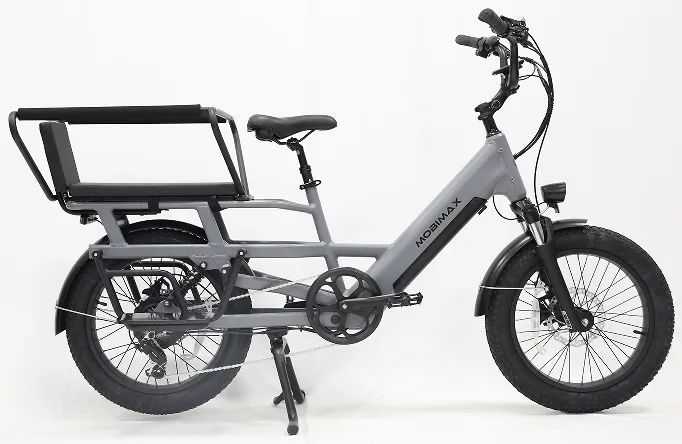 EB307T fat-tire electric longtail bike