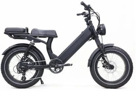 EB234S moped electric bike
