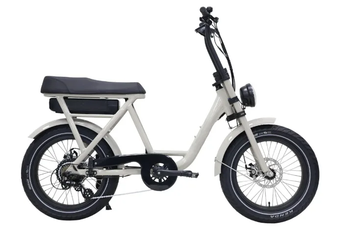 EB225S compact moped electric bike